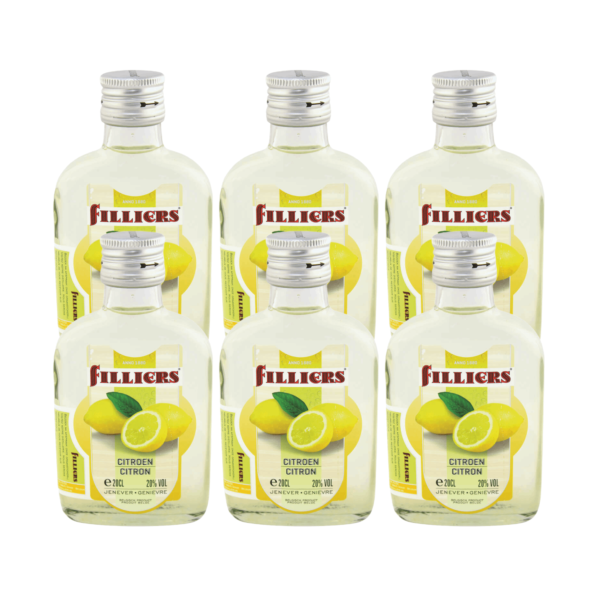 FILLIERS CITROEN 6X20CL